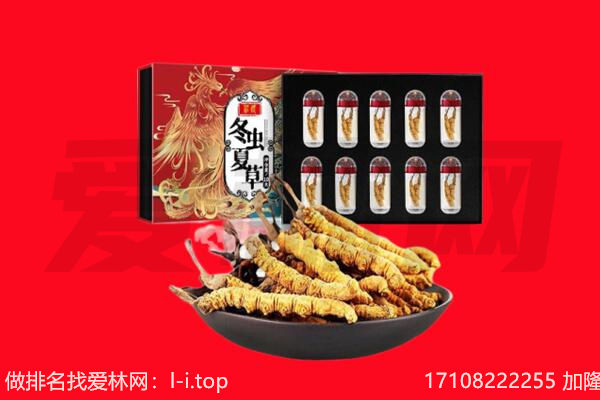 德阳罗江区回收虫草.jpg